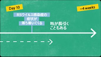 10日目：症状は徐々によくなるが、約4週間も咳が続く場合がある