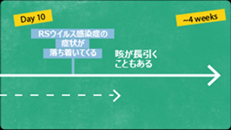 10日目:症状は徐々によくなるが、約4週間も咳が続く場合がある