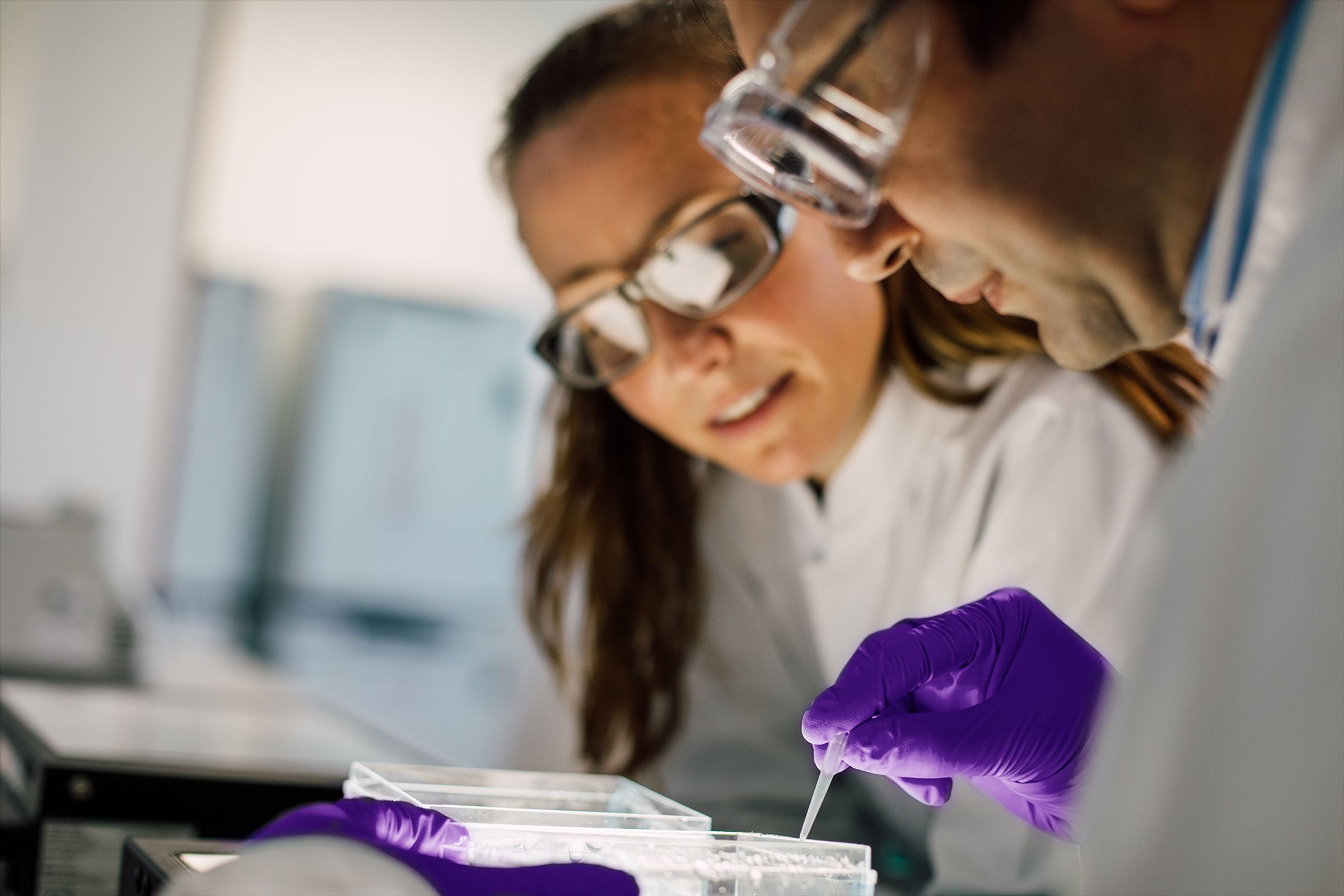 Two scientists wearing safety goggles and gloves, using a pipette to transfer a sample into an analysis plate.