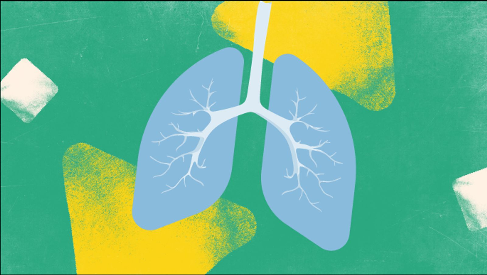 赤ちゃんの肺の画像