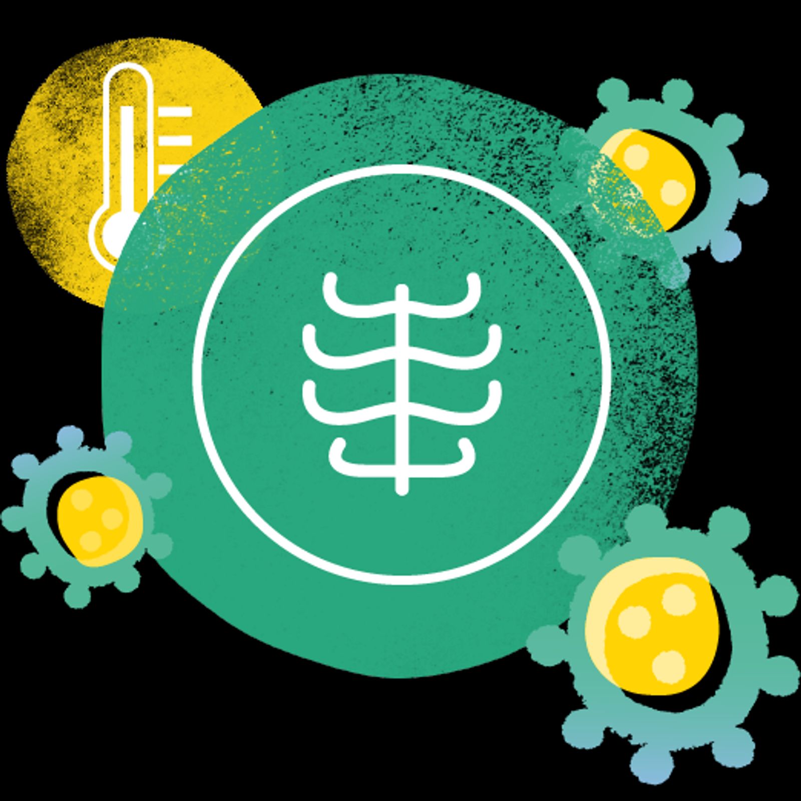 RSウイルスの重症化を表した画像